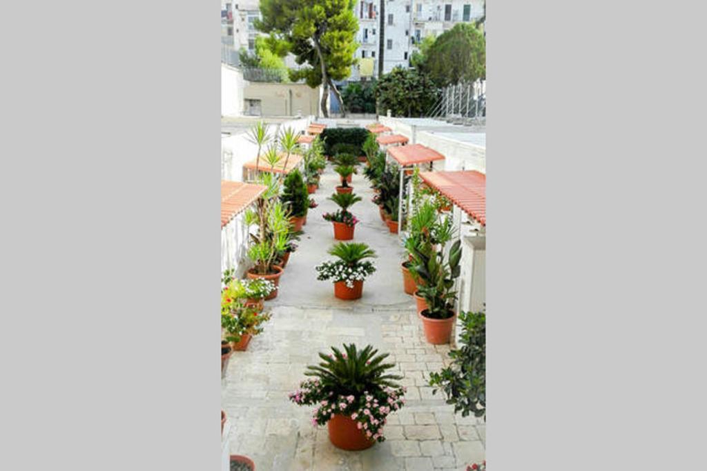 Al Cortile Apartment Бари Екстериор снимка